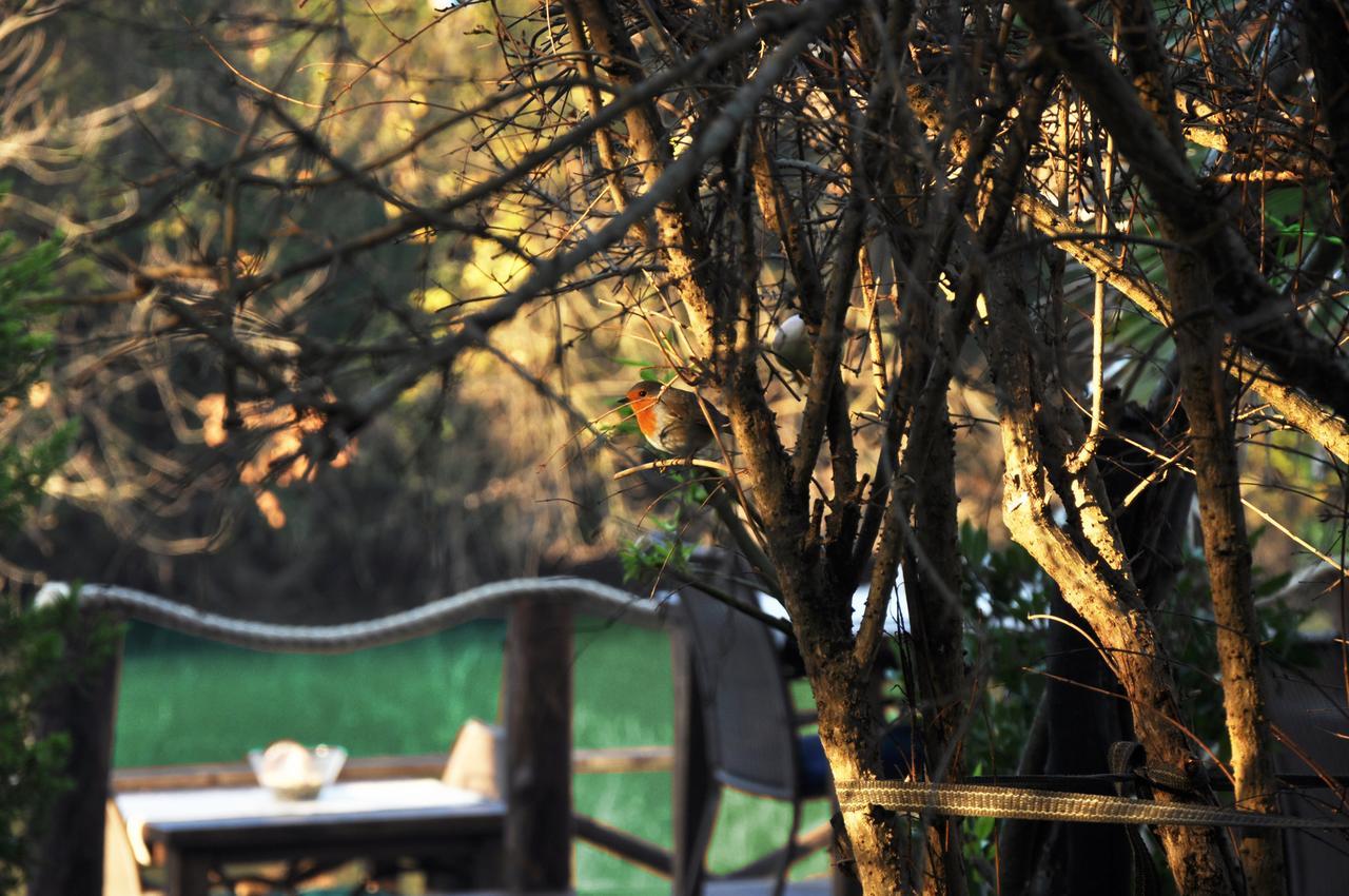 Lethe Exclusive Hotel (Adults Only) Ağva Dış mekan fotoğraf